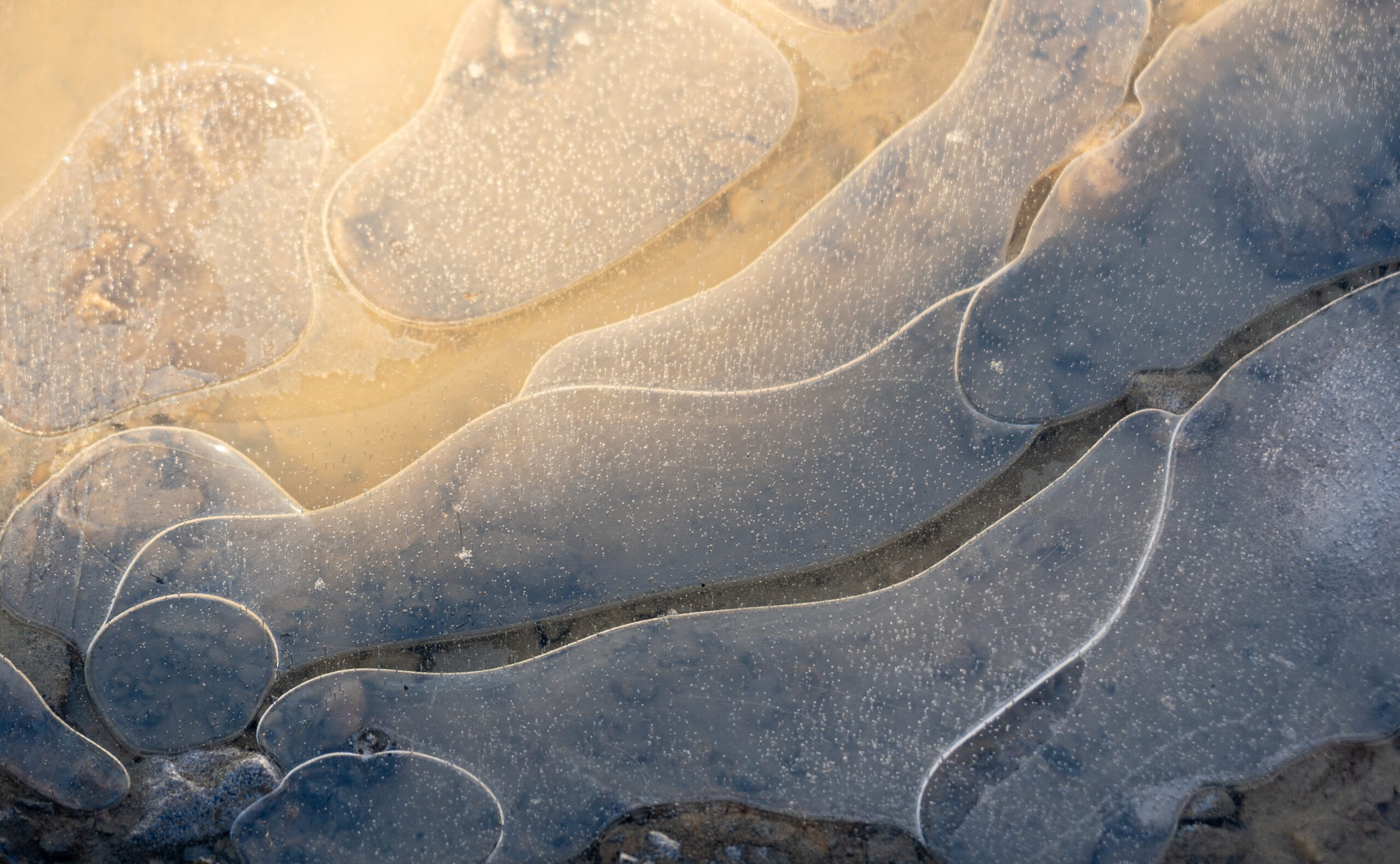 Blue Sky & Yellow Sunflower